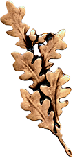 Oak Leaf Bronze Applique from Sunset Memorial and Stone Ltd. in Calgary, Alberta Canada